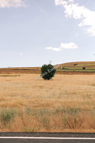 Karahasanlı'da 4.200 m² Tarla — Ana Yola 300 m