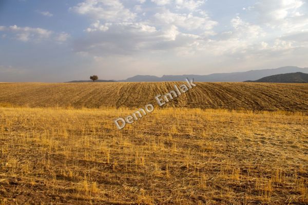 Şeker Mahallesi'nde 3.400 m² Yola Cepheli Tarla