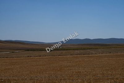 Ahi Mesut'ta Bulvara Yakın 480 m² Konut İmarlı Arsa